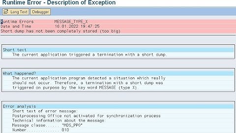 Runtime Errors MESSAGE TYPE X Postprocessing Office not activated -When saving customer/vendor