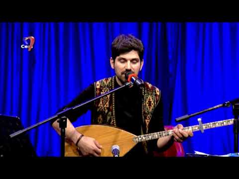 Metin Ülhak Demir - Bülbül Havalanmış