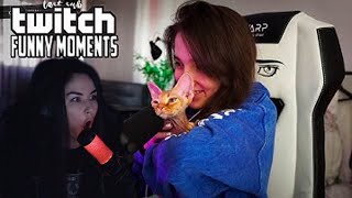 DianaRice смотрит : Топ Моменты с Twitch | Было/Не Было со Стримершами | Резинки + Арбуз Челлендж