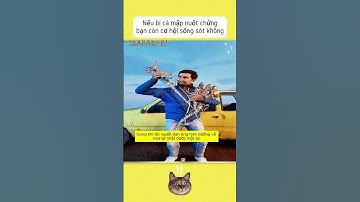 Nếu bị cá mập nuốt chửng bạn còn cơ hội sống sót không  #reviewvui #reviewgiaitri