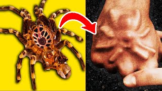 20 Weirdest Things Caught on Camera