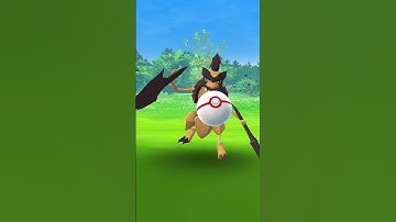 I can’t catch this Pokémon unless it’s shiny