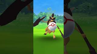 I Cant Catch This Pokémon Unless Its Shiny