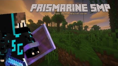 Public Minecraft server -Prismarine S2