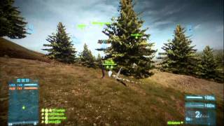 Epic Battlefield 3 Jet Bug