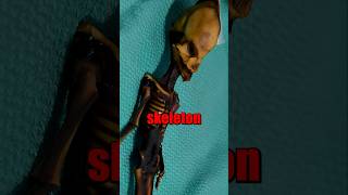 Alien Skeleton Mystery Solved 😲