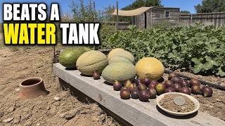 The 50-Cent Sand Trick Nomad Gardeners Use to Store Water With No Tank