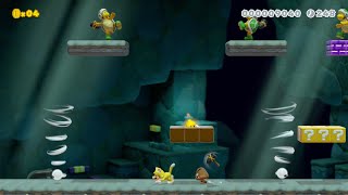 Custom Super Mario 3D World Levels: "Underground Challenge" by, Kevin Sy