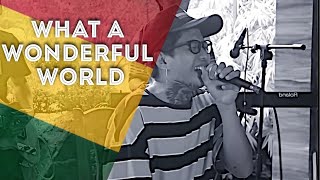 Louis Armstrong - What A Wonderful World | Tropavibes Reggae Cover