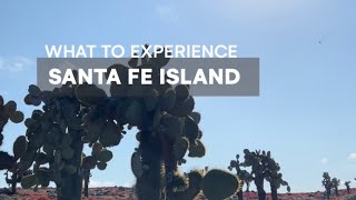 Santa Fe Island - Galapagos with G Adventures