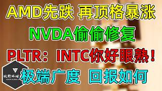 美股 AMD先跌再顶格暴涨！NVDA偷偷完美修复！PLTR：INTC你可真眼熟！广度极端后的短中期回报！