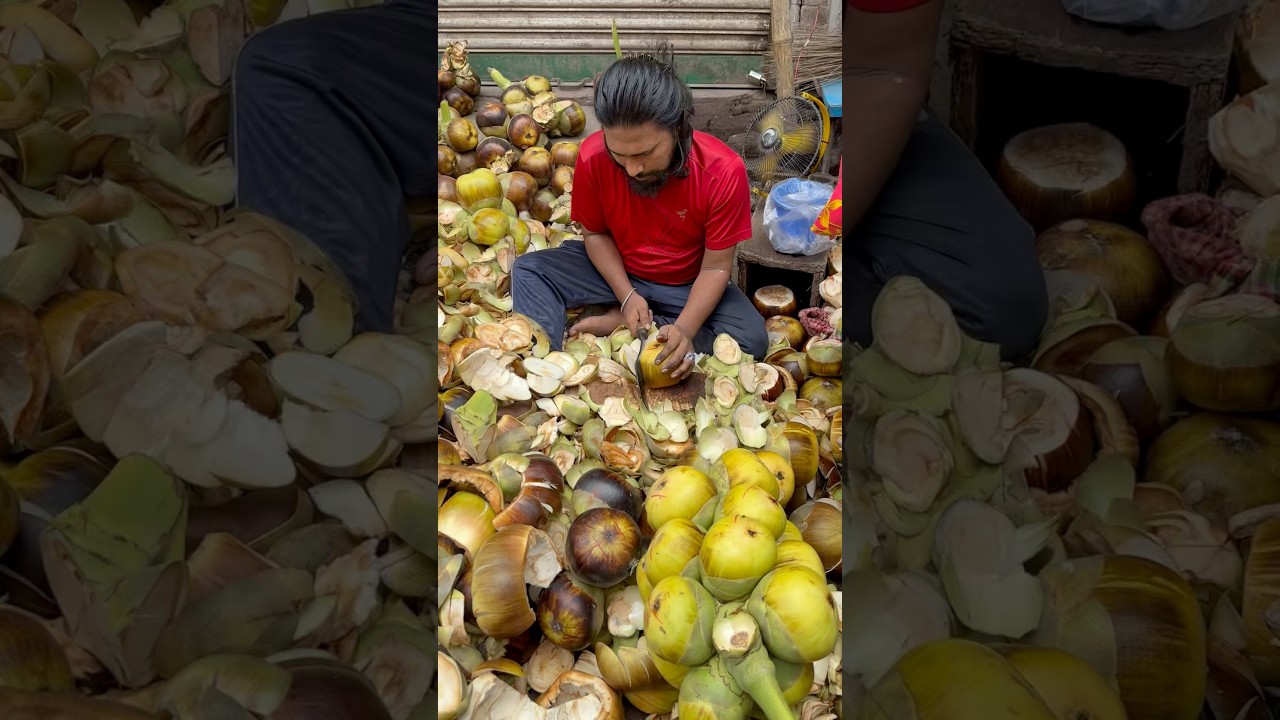 Amazing Palmyra Palm Fruit Cutting Skills 
