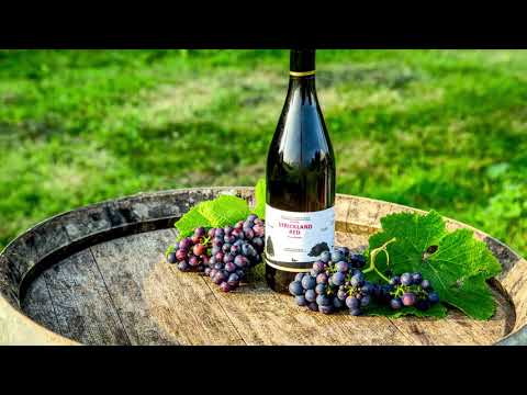 Ryedale Vineyards - Drone Photography