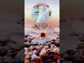 يوسف العيدروس