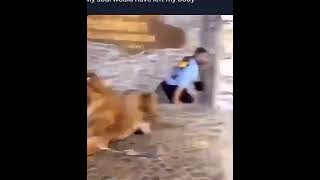 Crying Emoji Overload! Emotional Rollercoaster Video 😭😭