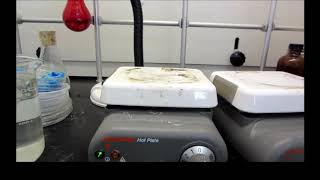 Yeast Fermentation Lab Video Edited