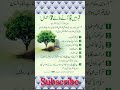 qabar mai kaam any waly 7 amal #shortvideo #ytshort #motivation #trendingshorts #viralshort #quotes