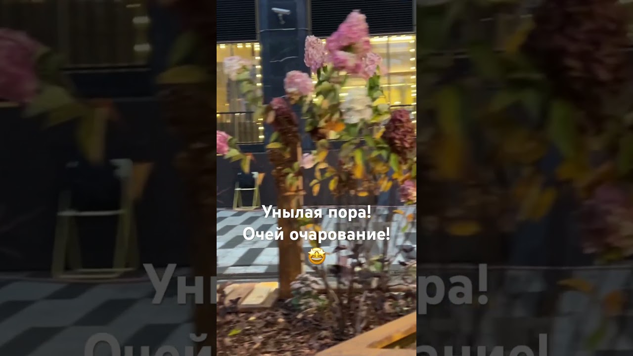 Осень… и этим все сказано! 