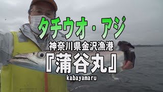 蒲谷丸・神奈川県金沢漁港・タチウオ＆アジ【釣りビジョン マガジン】