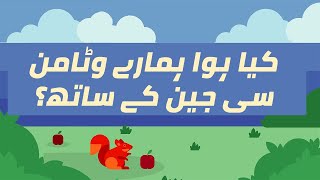 What Happened To Our Vit C Gene? Hamare Vitamin C Gene Ko Kia Hua? Urduhindi