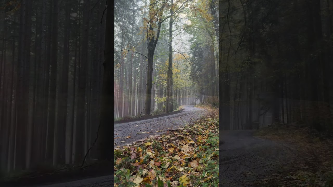 Central European Rally 2024 - Full video soon on my channel | 4K