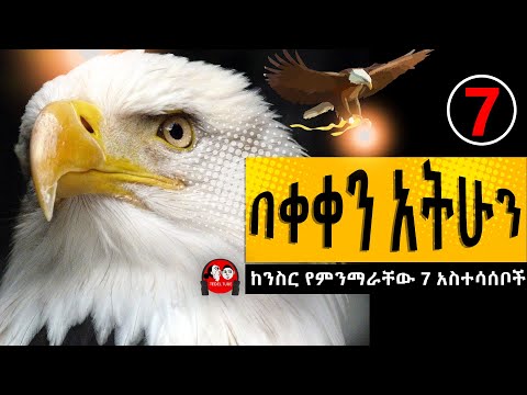 ቪዲዮ: ታርጎ። የራስ ቁር ዒላማ መሰየሚያ ስርዓት ከኤልቢት ሲስተሞች