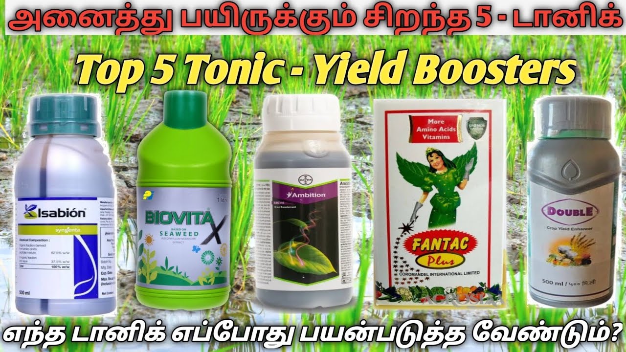 பூக்கள் பிஞ்சாக மாற சிறந்த - 5 Tonic | Top 5 Agriculture Tonics#vivasayam #விவசாயம் #farming #lkgviv