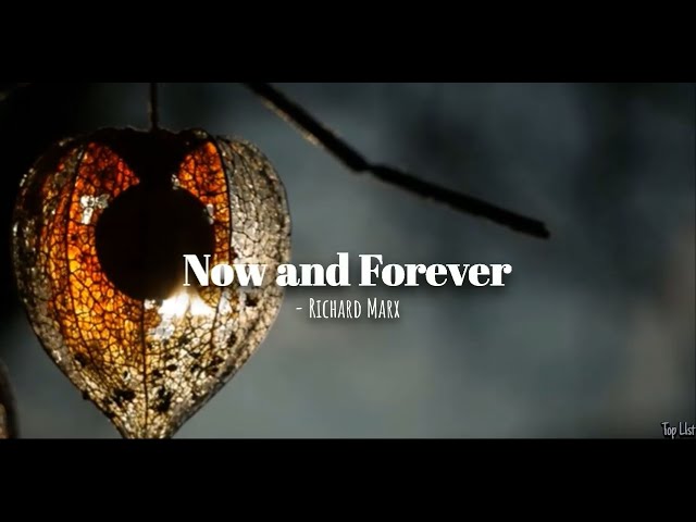 Now And Forever(Lyrics) - Richard Marx class=