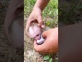 #babymonkey #monkeybaby #cutemonkey #monkeylove #monkeylife