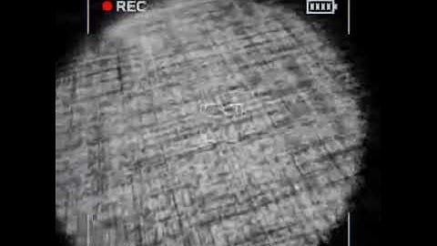 First time playing Content Warning be like