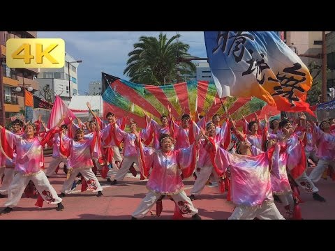 2016 10/8 中京大学 晴地舞 安濃津よさこい [2160p 4k] HACHIMAE in Anotsu YOSAKOI フェニックス会場 : Tsu Festival