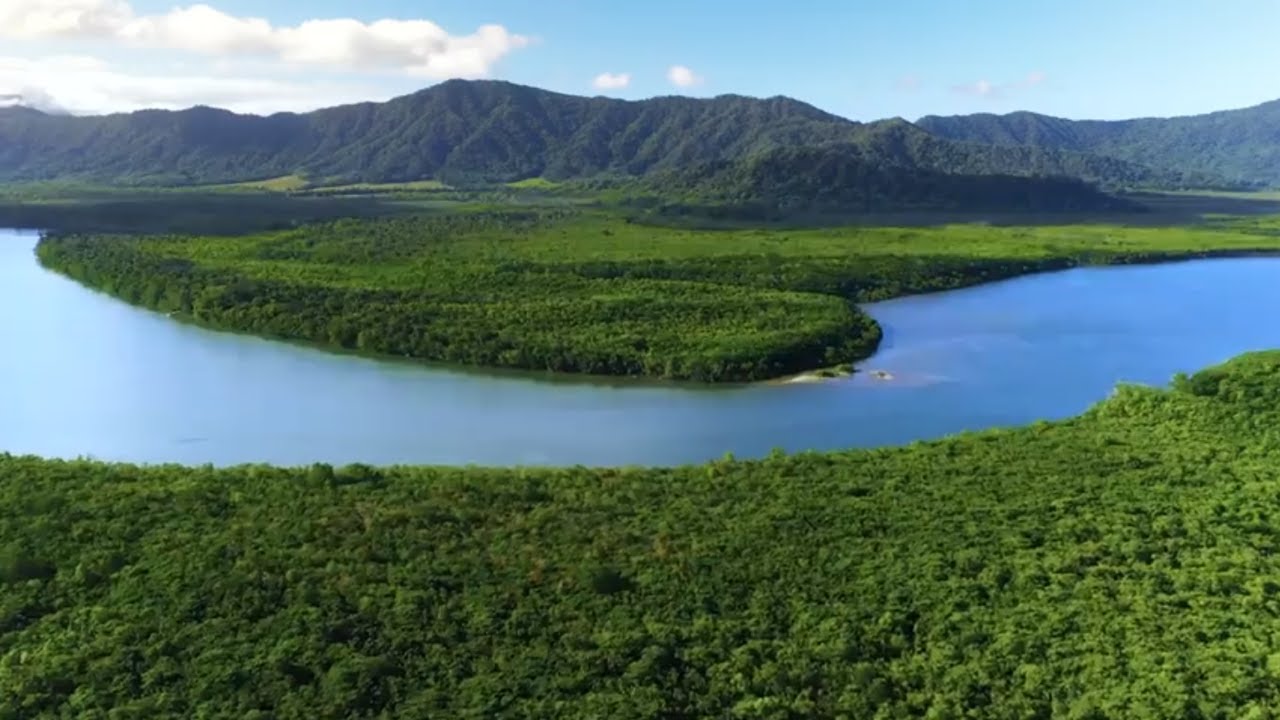 NTT Sustainability View