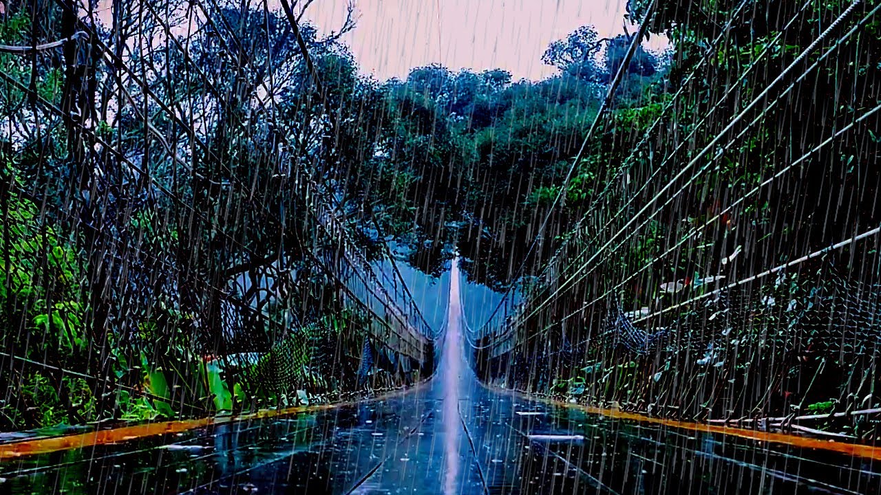 Zen Rain Sounds for Meditation | Pure Water Sounds | No Thunder, No Lightning