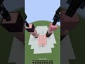 Can We Actually Read Each Other's Minds?? #shorts #minecraft #minecraftshorts