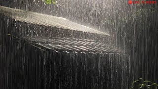 Super Heavy Rain To Sleep Immediately - Rain Sounds For Relaxing Your Mind And Sleep Tonight Relax.