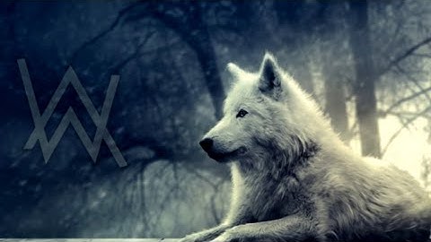 My new YouTube music intro for 2024 (full song included/credit in description