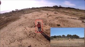 UAV Sensor Fusion with Latent Dynamic Conditional Random Fields in Coronal Plane Estimation