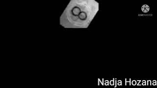 SUICIDEMOUSE.AVI HAS A SPARTA VALISE REMIX