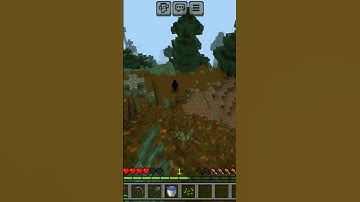 I saw Null in my world 😰😰😯😯