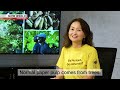 WASTE NOT WANT NOT: Banana Business - Dig More Japan
