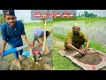 Dhaan Ki Fasal Mein Taqat Ka Khzana Daal Diya Mini Tubewell Khrab Dhaan Ki Fasal Mein Taqat Ka Khzana Daal Diya Mini Tubewell Khrab