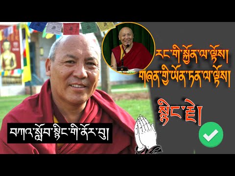 🚨དགེ་བཤེས་ལྷག་རྡོར་མཆོག།🚨བསམ་བློ་གཏོང་སྟངས་སྦྱོང་དགོས།  བོད་ཀྱི་བསླབ་བྱ།🙏#TibetanADVICE#Karma #life