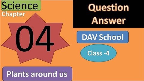 DAV Class 4 Science Chapter 4 question answer plants around us