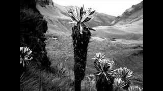 El Estigio - Quebrada