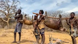 African Hunters Made It Again | Discover The Hadzabe Tribe