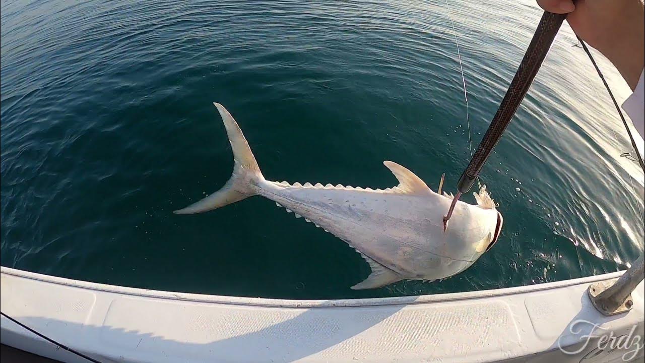 Spot ng Queen fish || Lulu Island Abu Dhabi offshore fishing || Angler Ferdz Perrera - YouTube
