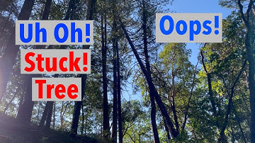 Freeing a Tree that Gets Hung Up - Without Dying - Stuck Douglas fir tree.