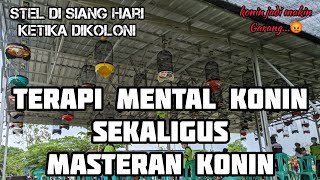 SIMULASI LOMBA KONIN | TERAPI MENTAL | MASTERAN KONIN