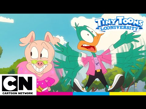 تايني تون جامعة الكرتون خدع مزدوجة كرتون نتورك 