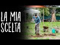 20 NUOVE PIANTE DA FRUTTO